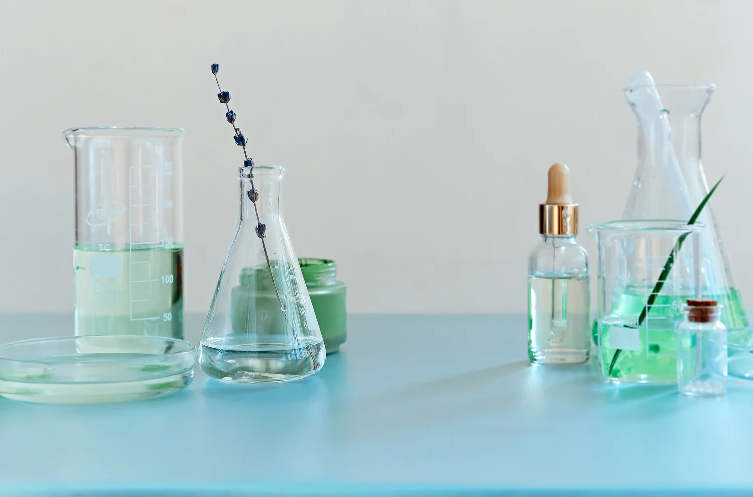 564715251 1312157016766705 4231420058101132576 n