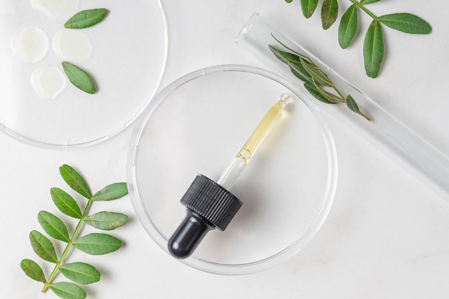 566555276 1252252986935313 312503504373839084 n