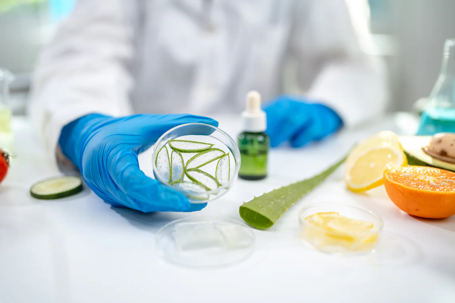 566560277 1158546033038438 7618986016341166008 n