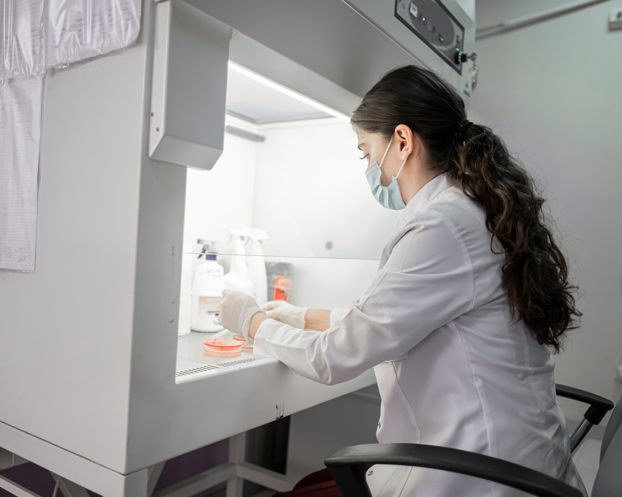 566718084 2296244624176770 1772495704896578353 n